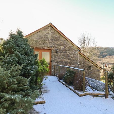 Y Felin Villa Llanybydder Bagian luar foto